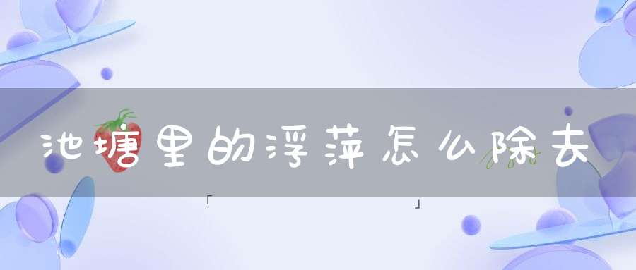 池塘里的浮萍怎么除去？
