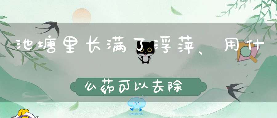 池塘里长满了浮萍、用什么药可以去除？