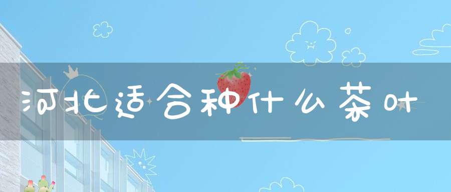 河北适合种什么茶叶