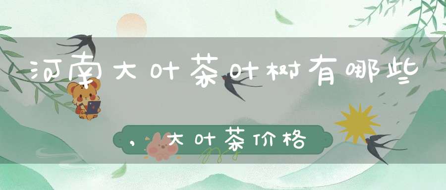 河南大叶茶叶树有哪些,大叶茶价格