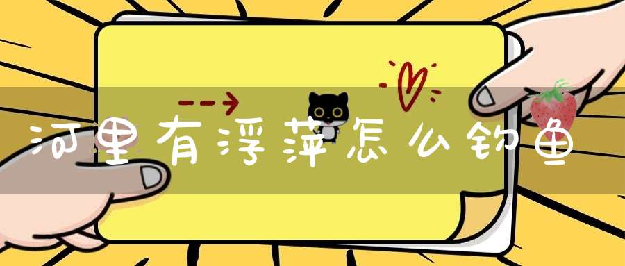 河里有浮萍怎么钓鱼？