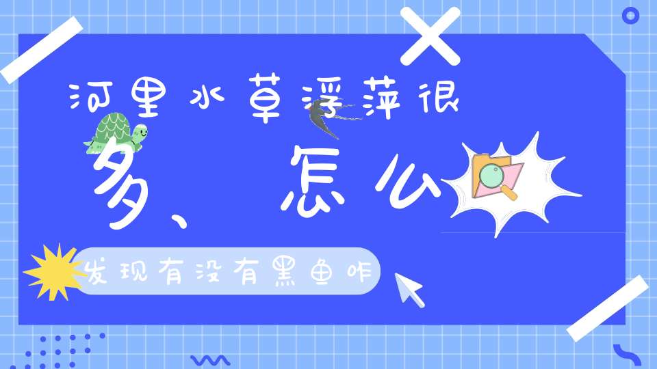 河里水草浮萍很多、怎么发现有没有黑鱼咋？