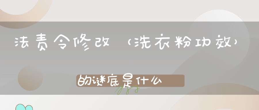 法责令修改 （洗衣粉功效）的谜底是什么?