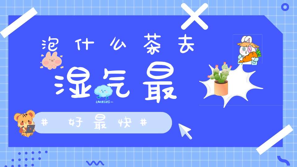 泡什么茶去湿气最好最快