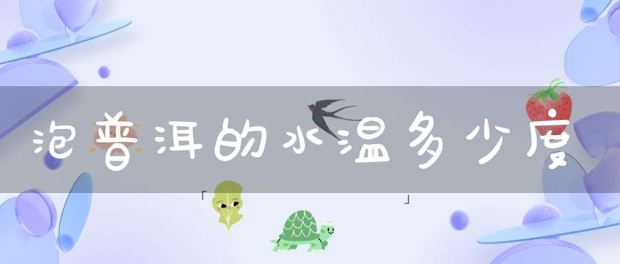 泡普洱的水温多少度