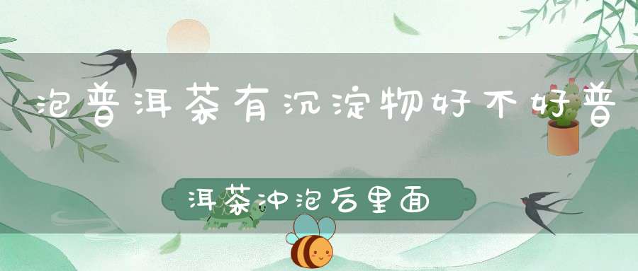泡普洱茶有沉淀物好不好普洱茶冲泡后里面的漂浮物是什么