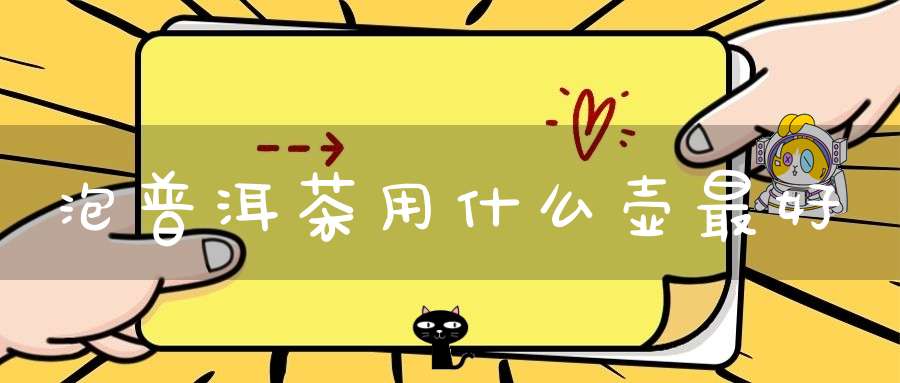 泡普洱茶用什么壶最好