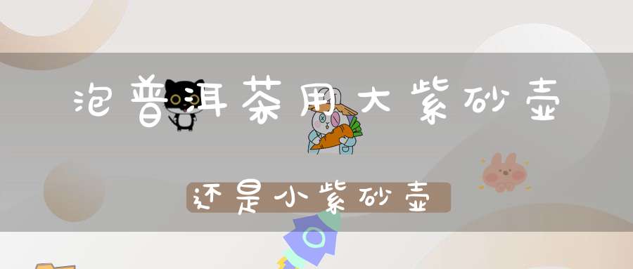泡普洱茶用大紫砂壶还是小紫砂壶