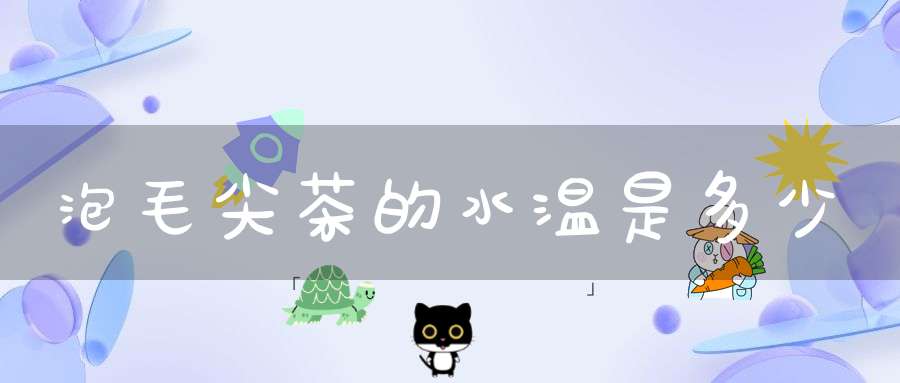 泡毛尖茶的水温是多少