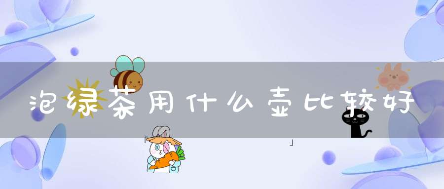 泡绿茶用什么壶比较好