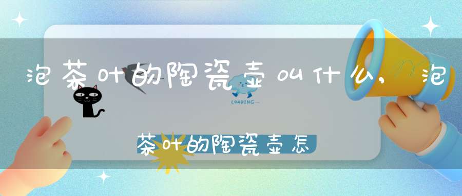 泡茶叶的陶瓷壶叫什么,泡茶叶的陶瓷壶怎么清洗