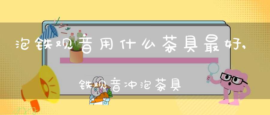 泡铁观音用什么茶具最好,铁观音冲泡茶具