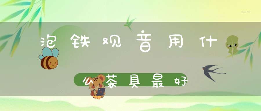 泡铁观音用什么茶具最好
