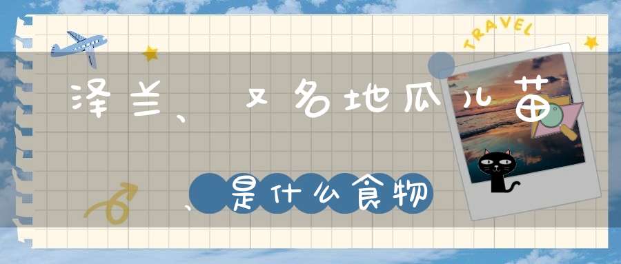 泽兰、又名地瓜儿苗、是什么食物？