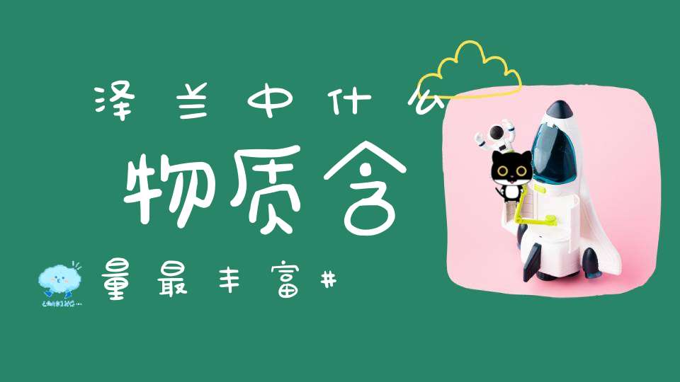 泽兰中什么物质含量最丰富？