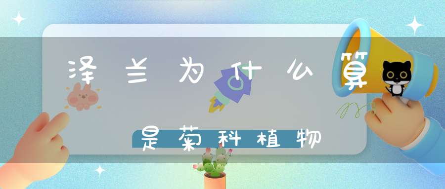 泽兰为什么算是菊科植物？