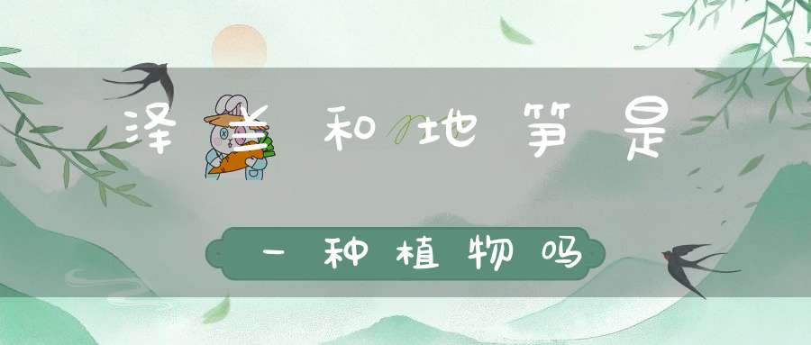 泽兰和地笋是一种植物吗？