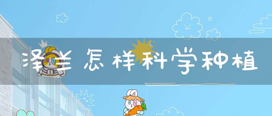 泽兰怎样科学种植？