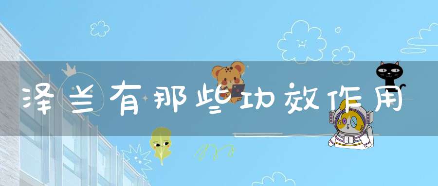 泽兰有那些功效作用？