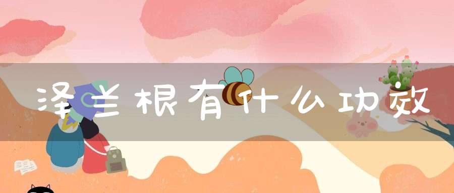 泽兰根有什么功效？