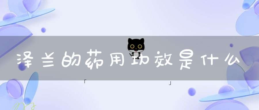 泽兰的药用功效是什么？