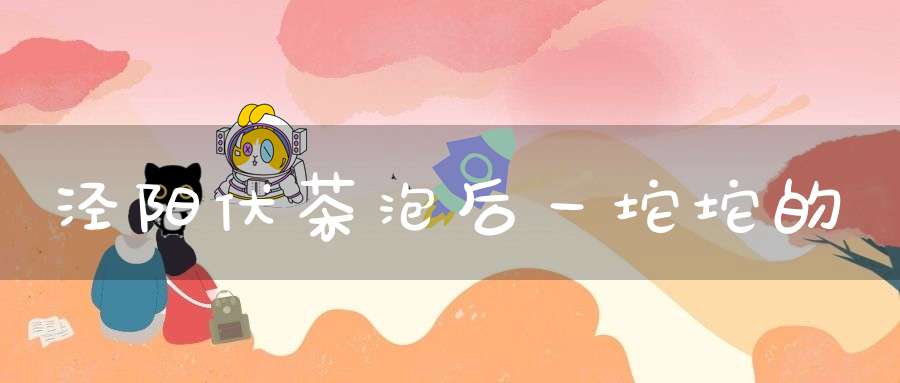 泾阳伏茶泡后一坨坨的