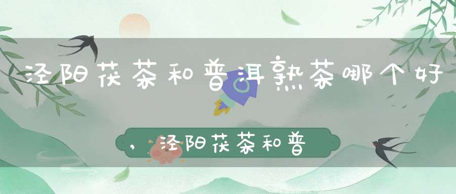 泾阳茯茶和普洱熟茶哪个好,泾阳茯茶和普洱茶哪个更好