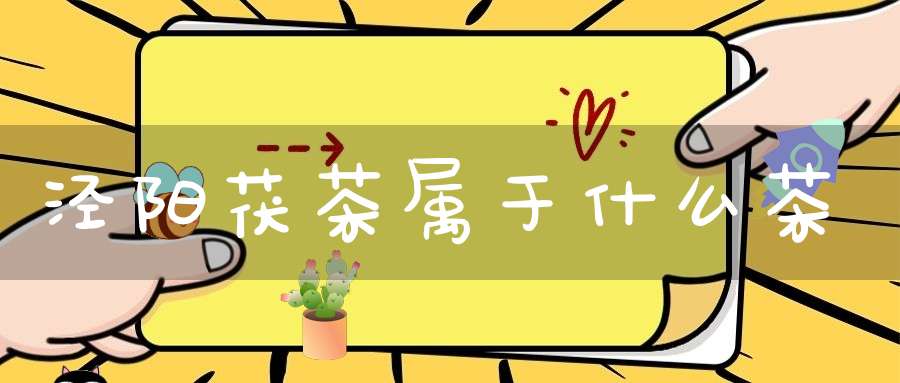 泾阳茯茶属于什么茶