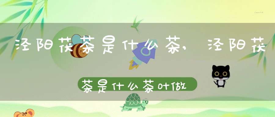 泾阳茯茶是什么茶?,泾阳茯茶是什么茶叶做的