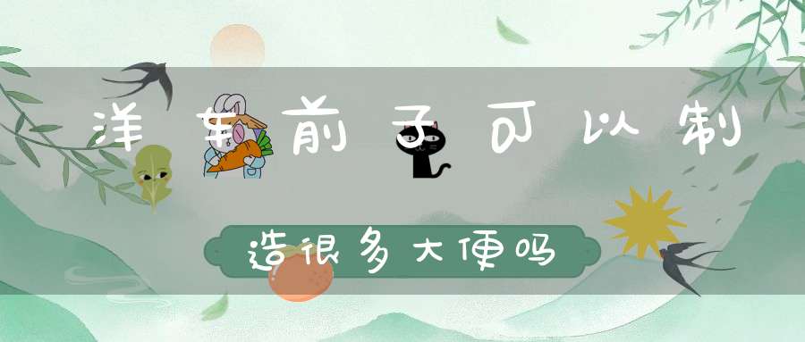洋车前子可以制造很多大便吗？
