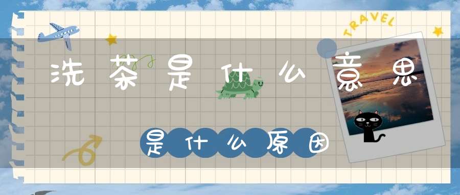 洗茶是什么意思是什么原因