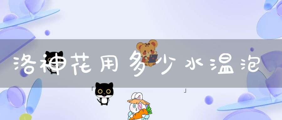 洛神花用多少水温泡