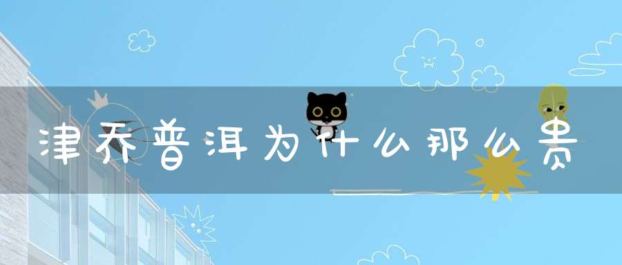 津乔普洱为什么那么贵