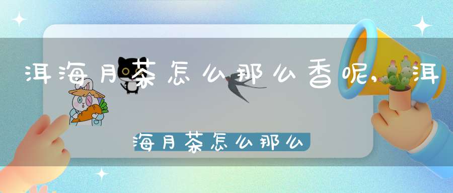 洱海月茶怎么那么香呢,洱海月茶怎么那么香味