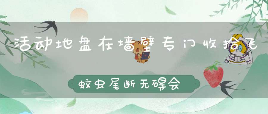 活动地盘在墙壁，专门收拾飞蚊虫，尾断无碍会再生，医学名称是守