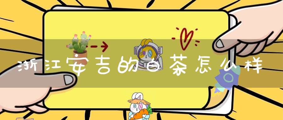 浙江安吉的白茶怎么样