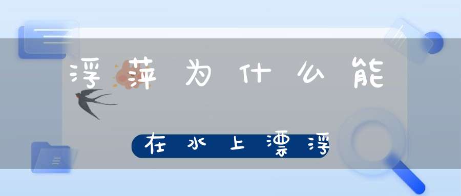 浮萍为什么能在水上漂浮？