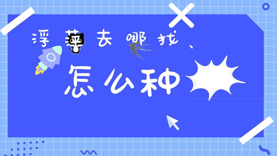 浮萍去哪找、怎么种？