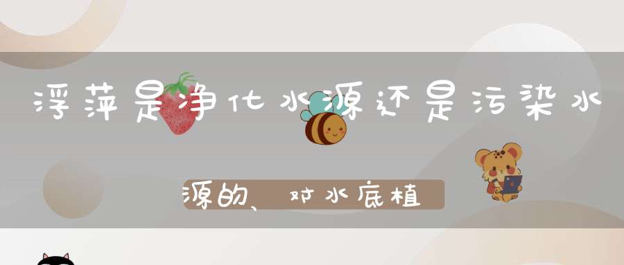 浮萍是净化水源还是污染水源的、对水底植物的生长有害吗？