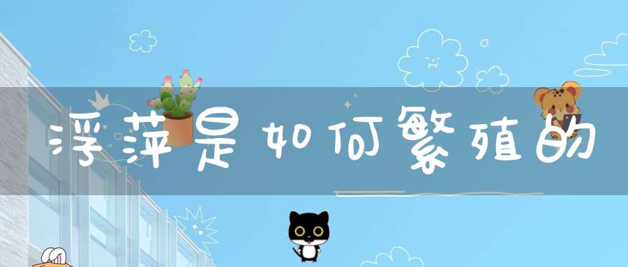 浮萍是如何繁殖的？