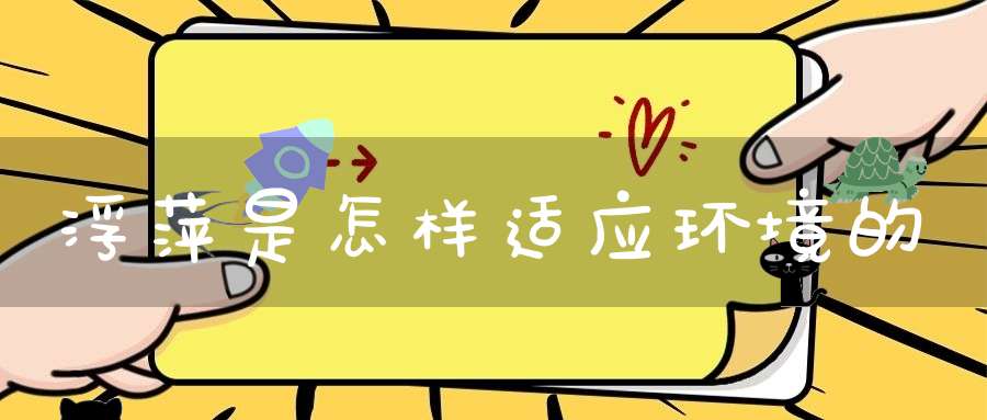 浮萍是怎样适应环境的？