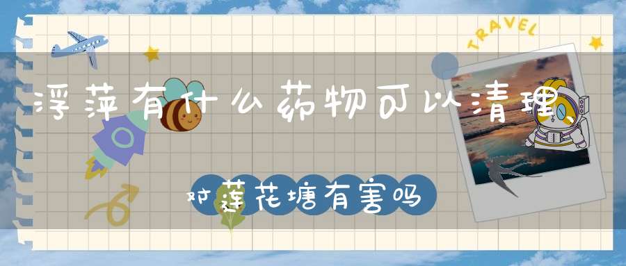 浮萍有什么药物可以清理、对莲花塘有害吗？