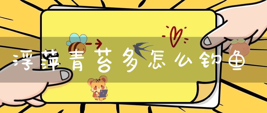 浮萍青苔多怎么钓鱼？