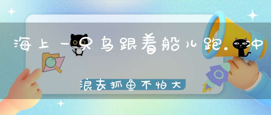 海上一只鸟，跟着船儿跑。冲浪去抓鱼，不怕大风暴（打一动物）