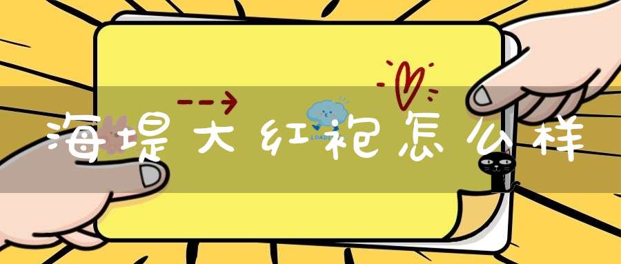 海堤大红袍怎么样