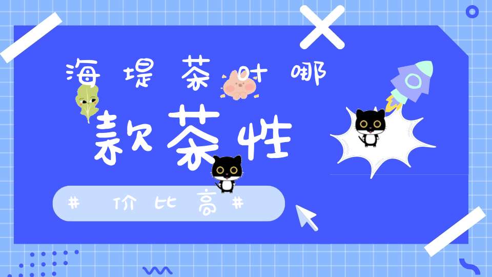 海堤茶叶哪款茶性价比高