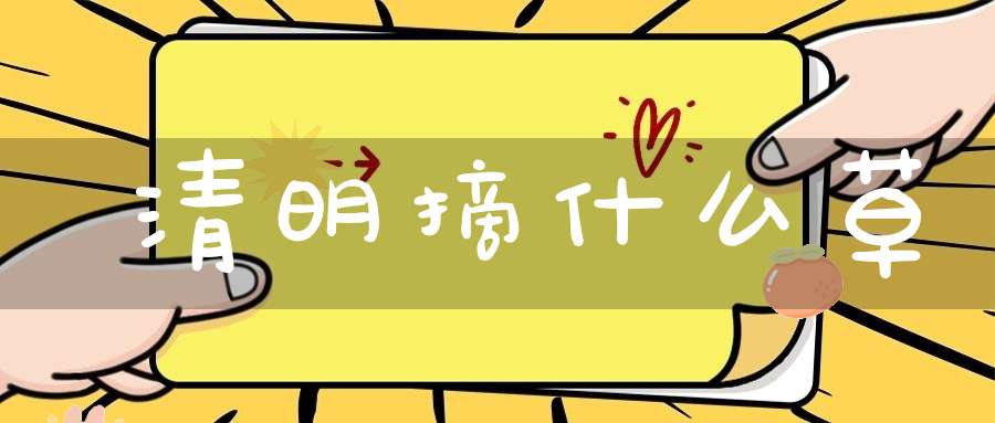 清明摘什么草