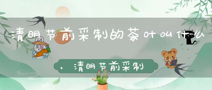 清明节前采制的茶叶叫什么,清明节前采制的茶叶有贵如金的说法