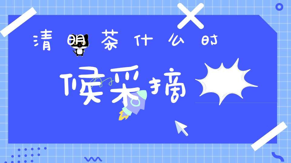 清明茶什么时候采摘