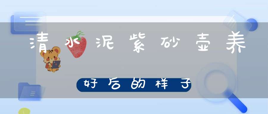 清水泥紫砂壶养好后的样子